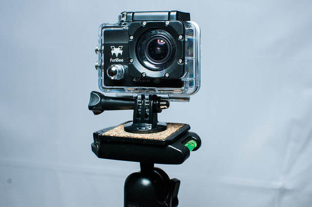 FuriBee-Q6-25.jpg