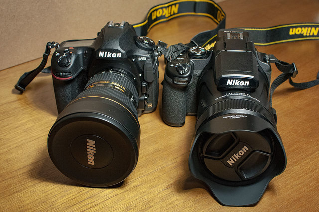 Nikon-P1000-05.jpg