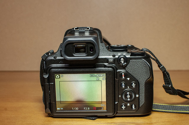 Nikon-P1000-17.jpg