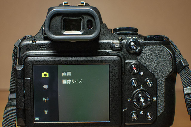 Nikon-P1000-18.jpg