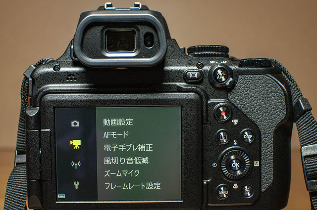 Nikon-P1000-19.jpg