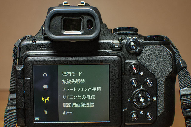 Nikon-P1000-20.jpg