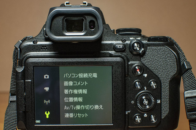 Nikon-P1000-21.jpg