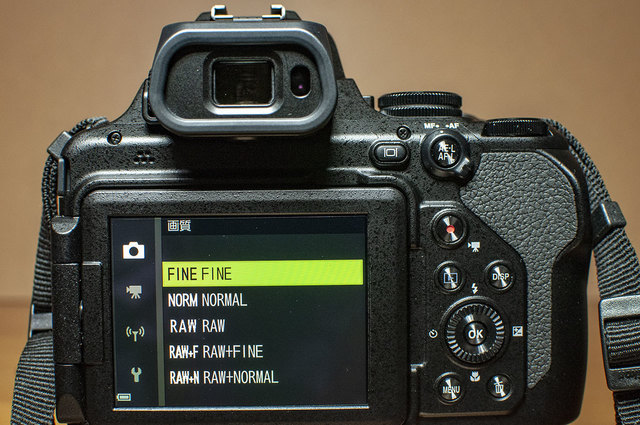 Nikon-P1000-22.jpg