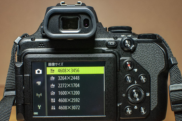 Nikon-P1000-23.jpg