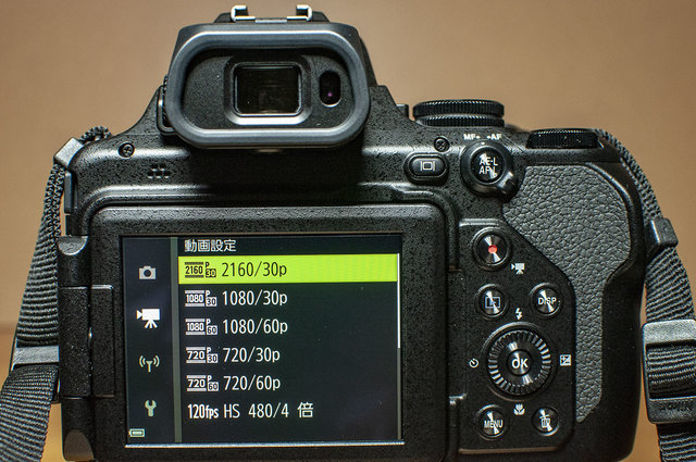 Nikon-P1000-24.jpg