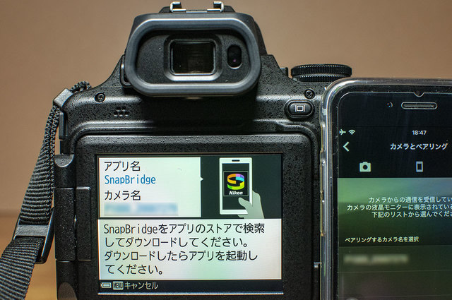 Nikon-P1000-25.jpg