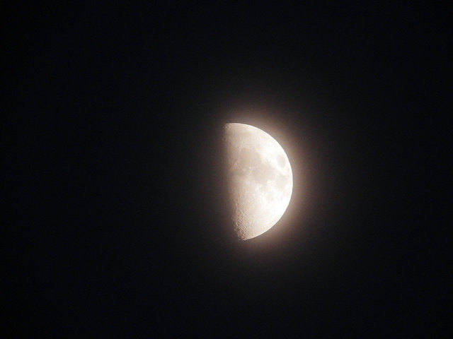 Nikon-P1000-36.jpg