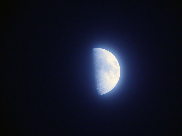 Nikon-P1000-37.jpg