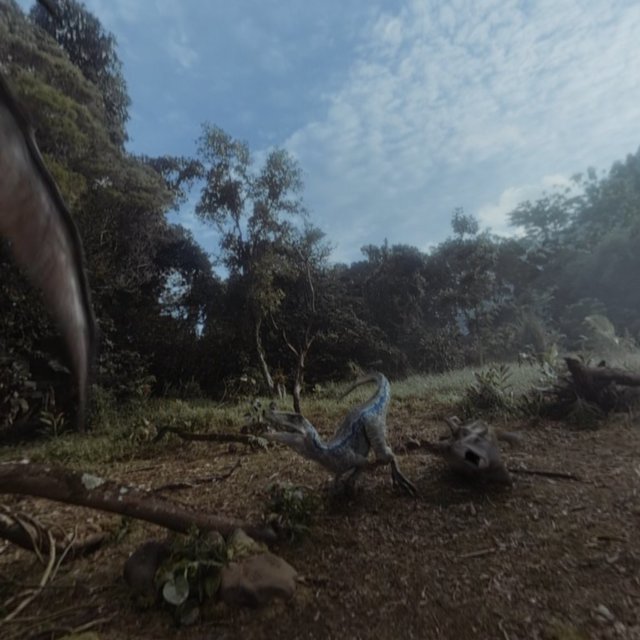 Oculus GO Video06.jpg